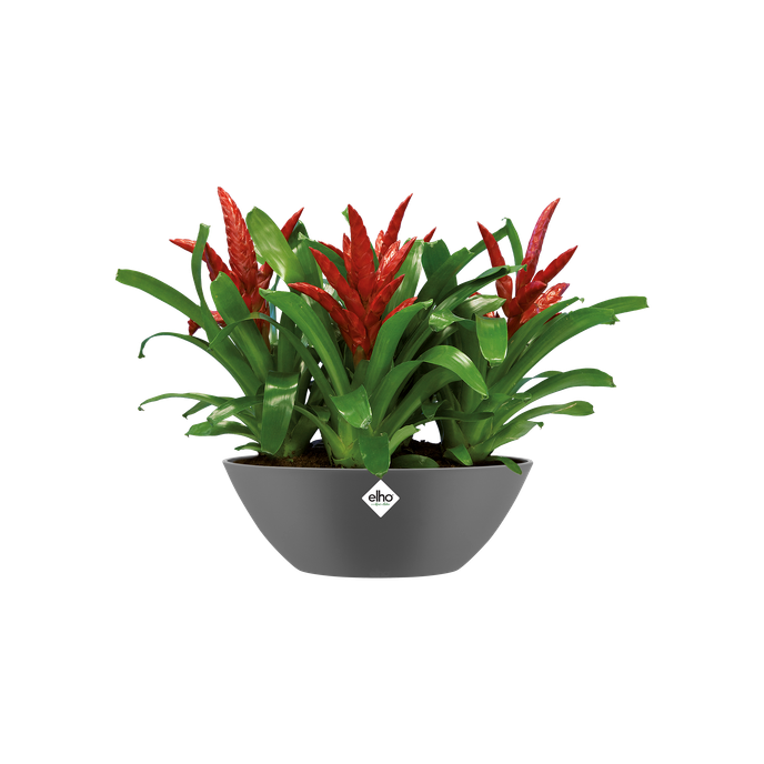 brussels ovaal 36cm antraciet